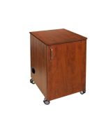 Storage Cabinet with Door